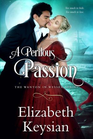 Cover of the book A Perilous Passion by Nina Croft