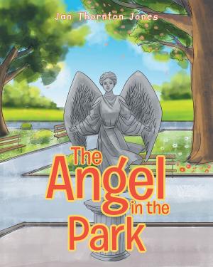 Book cover of The Angel in the Park