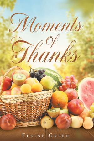 Cover of the book Moments Of Thanks by Connie McGranahan