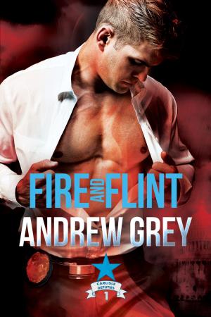 Cover of the book Fire and Flint by Kim Fielding