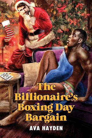 Cover of the book The Billionaire’s Boxing Day Bargain by Parker Williams