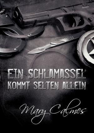 Cover of the book Ein Schlamassel kommt selten allein by SJD Peterson
