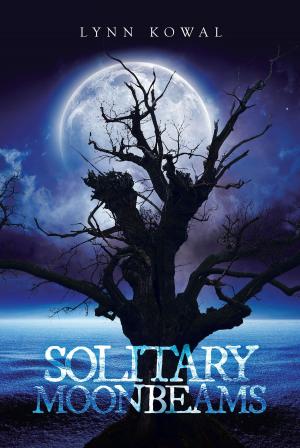 Cover of the book Solitary Moonbeams by John Boshard