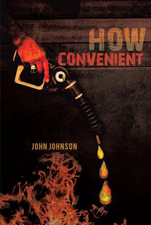 Book cover of How Convenient