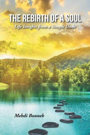 Cover of the book The Rebirth of a Soul: Life Insights from a Simple Dude by Rodney Stalks