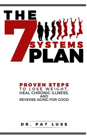 Cover of the book The 7 Systems Plan by David Melstrand