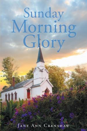 Cover of the book Sunday Morning Glory by Larry R. Sherman