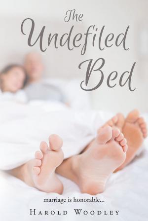 Cover of the book The Undefiled Bed by Kilian Kean
