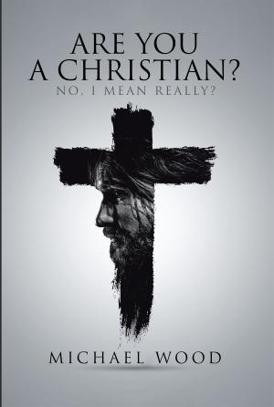 Cover of the book Are You A Christian? by Dr. Douglas G. Sullivan