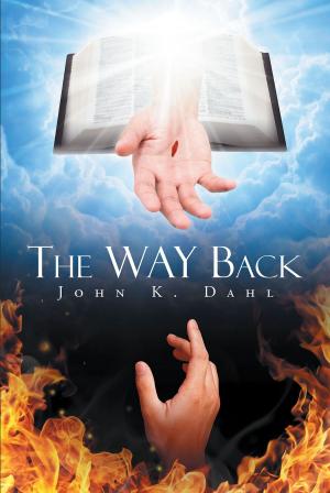 Book cover of The WAY Back
