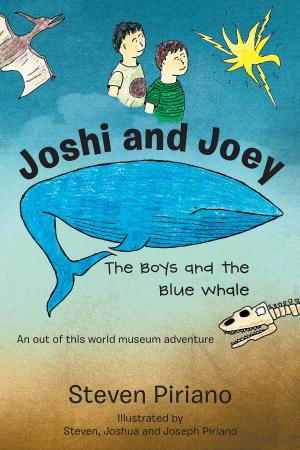 Cover of the book Joshi and Joey by Connie McGhee Soles