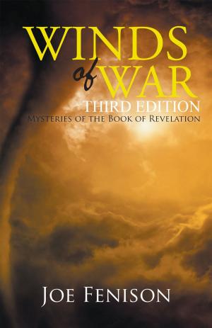 Cover of the book Winds of War Third Edition by David D. Ferman