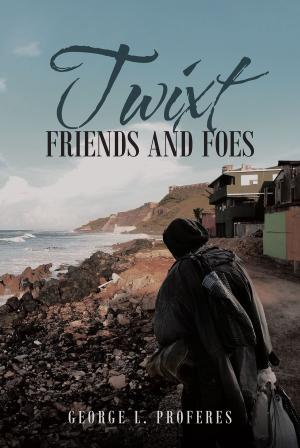 Cover of the book Twixt Friends and Foes by Bobbie-Angela Wong