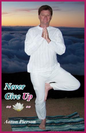 Cover of the book Never Give Up by John Lorenz, Natthaphorn “Ploy” Duangkeaw