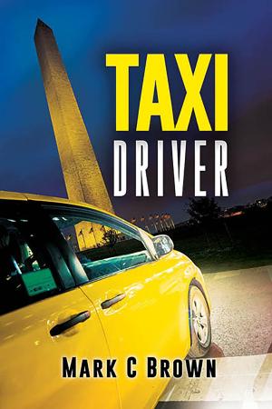 Cover of the book Taxi Driver by Gabor M. Rubanyi