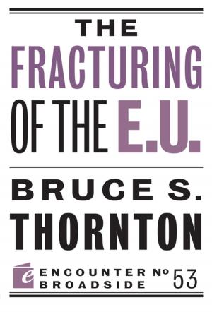 bigCover of the book The Fracturing of the E.U. by 