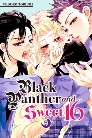 Cover of the book Black Panther and Sweet 16 by Hiro Mashima