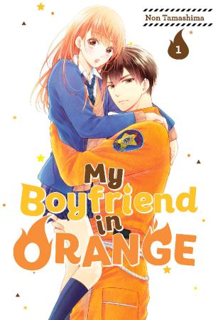 Cover of the book My Boyfriend in Orange by Robico