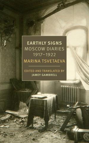 Cover of the book Earthly Signs by Sigizmund Krzhizhanovsky