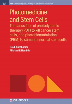 Cover of the book Photomedicine and Stem Cells by Sharon Ann Holgate