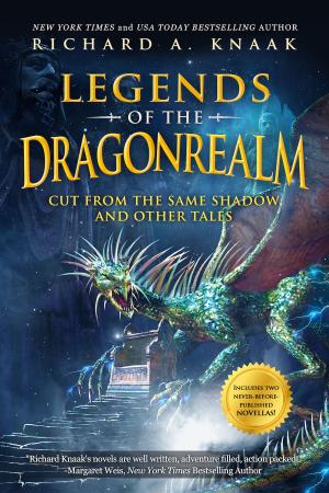 Cover of the book Legends of the Dragonrealm by Antivancrafts