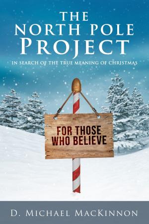 Cover of the book The North Pole Project by Ashley Black, Joanna Hunt