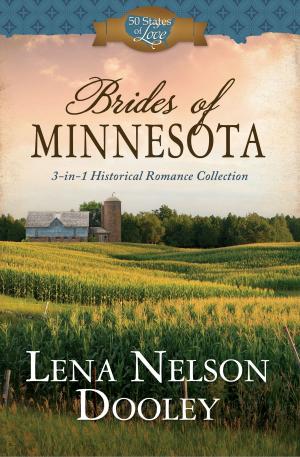 Cover of the book Brides of Minnesota by Barbour Publishing