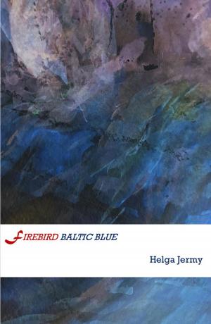 Cover of the book Firebird Baltic Blue by Paul Corfiatis