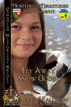 Book cover of Fly Away Snow Goose (Nits’it’ah Golika Xah)