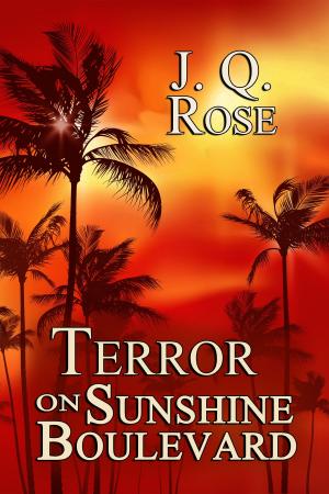Cover of the book Terror on Sunshine Boulevard by Roseanne Dowell