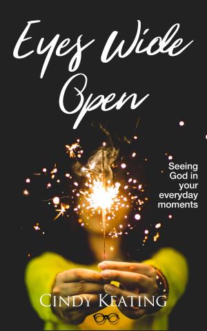 Cover of the book Eyes Wide Open by Stephanie A. Mayberry