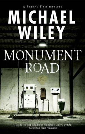 Cover of the book Monument Road by Sarah R. Shaber