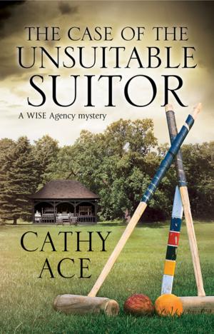 Cover of the book The Case of The Unsuitable Suitor by Karen Lowe
