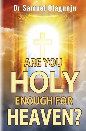 Book cover of Are you holy enough for heaven?