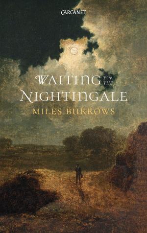 bigCover of the book Waiting for the Nightingale by 