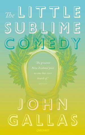 Cover of the book The Little Sublime Comedy by Jeremy Over