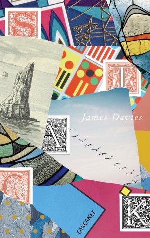 Cover of the book stack by James Womack
