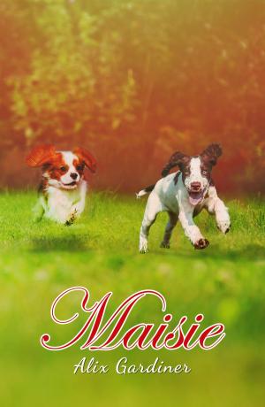 Cover of the book Maisie by Jim Hermel