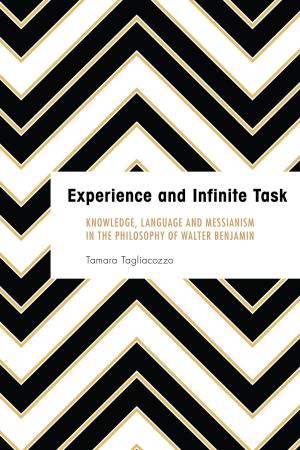 Cover of the book Experience and Infinite Task by Alison Stone