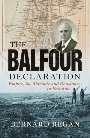 Cover of the book The Balfour Declaration by Richard Murphy