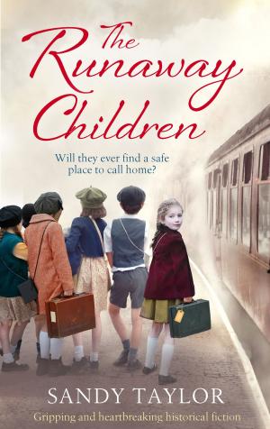 Cover of the book The Runaway Children by Renita D'Silva