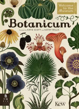 Cover of the book Botanicum by Anita Ganeri