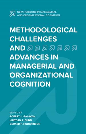 Cover of the book Methodological Challenges and Advances in Managerial and Organizational Cognition by Samantha Broadhead, Rosemarie Davies, Anthony Hudson