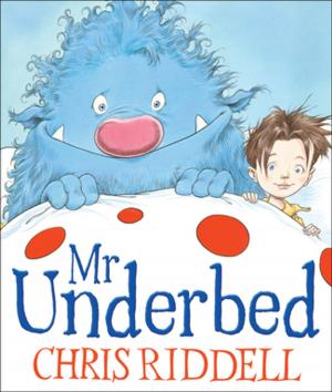 Cover of the book Mr Underbed by Tony Ross
