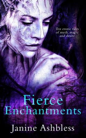Cover of the book Fierce Enchantments by Janine Ashbless, Lily Harlem, Sonni de Soto, Ellie Barker, Ella Scandal, Tony Fyler, Lady Divine, Gail Williams, Jo Henny Wolf, Lisa McCarthy