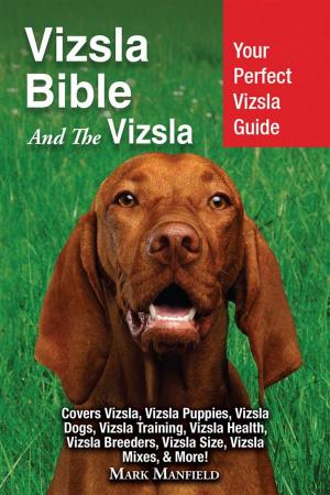 Cover of the book Vizsla Bible And The Vizsla by Mark Manfield