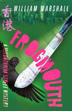Cover of the book Frogmouth by Heron Carvic