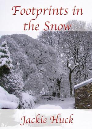 Cover of the book Footprints in the Snow by Darren Drake