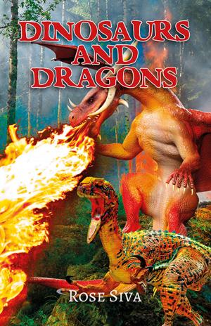 Book cover of Dinosaurs and Dragons