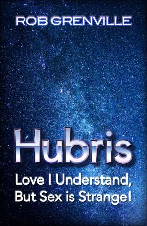 Cover of the book HUBRIS by Beth Powers